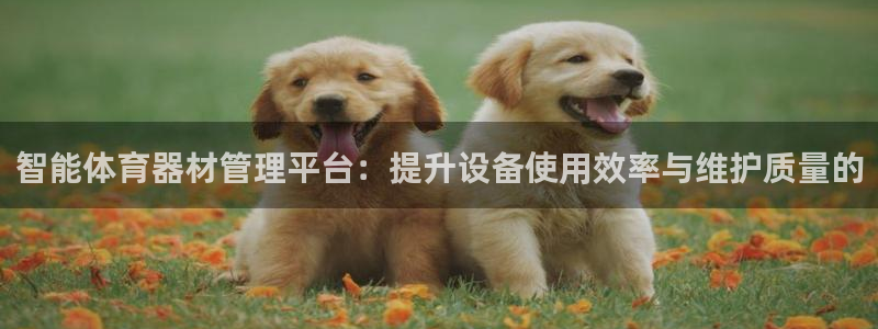 必一体育下载：智能体