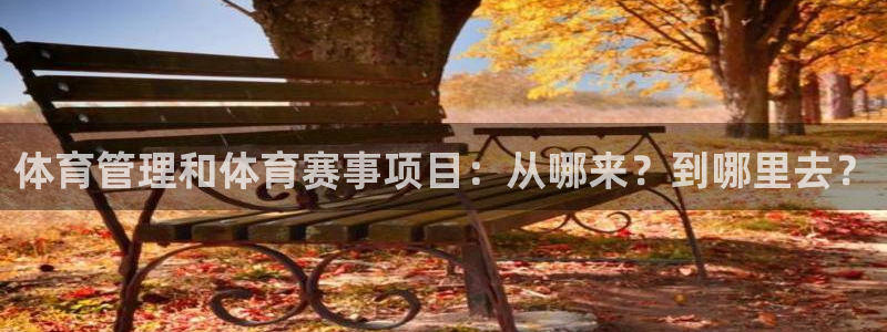 必一体育sport下载：体育管理和体育赛事项目：从哪来？到哪