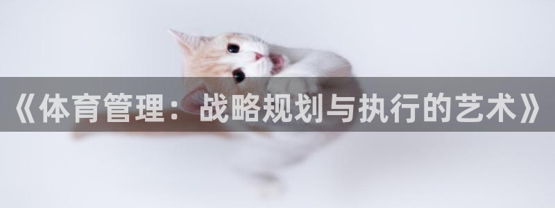 必一运动·(B-Sports)：《体育管理：战略规划与执行的